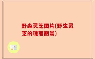 野森灵芝图片(野生灵芝的瑰丽图景)