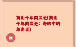 黄山千年肉灵芝(黄山千年肉灵芝：奇珍中的尊贵者)