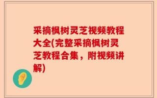 采摘枫树灵芝视频教程大全(完整采摘枫树灵芝教程合集，附视频讲解)