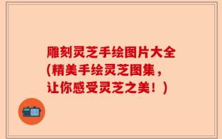 雕刻灵芝手绘图片大全(精美手绘灵芝图集，让你感受灵芝之美！)