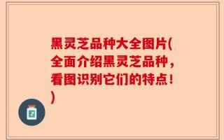 黑灵芝品种大全图片(全面介绍黑灵芝品种，看图识别它们的特点！)