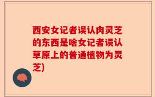 西安女记者误认肉灵芝的东西是啥女记者误认草原上的普通植物为灵芝)
