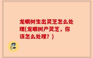 龙眼树生出灵芝怎么处理(龙眼树产灵芝，你该怎么处理？)