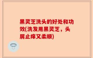 黑灵芝洗头的好处和功效(洗发用黑灵芝，头屑止痒又柔顺)