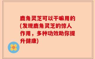 鹿角灵芝可以干嘛用的(发现鹿角灵芝的惊人作用，多种功效助你提升健康)