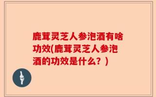 鹿茸灵芝人参泡酒有啥功效(鹿茸灵芝人参泡酒的功效是什么？)