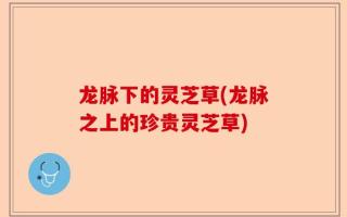 龙脉下的灵芝草(龙脉之上的珍贵灵芝草)