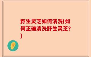 野生灵芝如何清洗(如何正确清洗野生灵芝？)