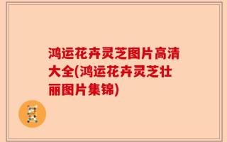 鸿运花卉灵芝图片高清大全(鸿运花卉灵芝壮丽图片集锦)