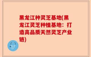 黑龙江种灵芝基地(黑龙江灵芝种植基地：打造高品质天然灵芝产业链)