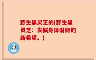 野生黑灵芝的(野生黑灵芝：发掘身体潜能的新希望。)