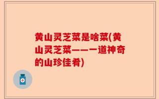 黄山灵芝菜是啥菜(黄山灵芝菜——一道神奇的山珍佳肴)
