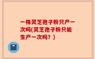 一株灵芝孢子粉只产一次吗(灵芝孢子粉只能生产一次吗？)