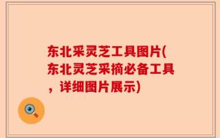 东北采灵芝工具图片(东北灵芝采摘必备工具，详细图片展示)