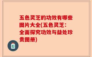 五色灵芝的功效有哪些图片大全(五色灵芝：全面探究功效与益处珍贵图册)