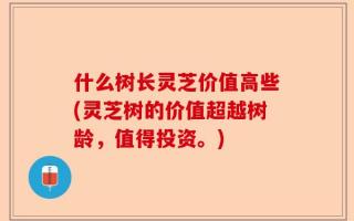 什么树长灵芝价值高些(灵芝树的价值超越树龄，值得投资。)