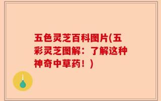 五色灵芝百科图片(五彩灵芝图解：了解这种神奇中草药！)