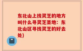 东北山上找灵芝的地方叫什么寻灵芝圣地：东北山区寻找灵芝的好去处)