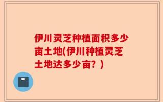 伊川灵芝种植面积多少亩土地(伊川种植灵芝土地达多少亩？)