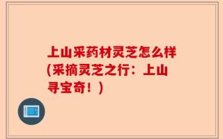 上山采药材灵芝怎么样(采摘灵芝之行：上山寻宝奇！)