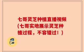 七哥灵芝种植直播视频(七哥实地展示灵芝种植过程，不容错过！)