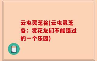 云屯灵芝谷(云屯灵芝谷：赏花友们不能错过的一个乐园)