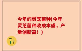 今年的灵芝菌种(今年灵芝菌种收成丰盛，产量创新高！)