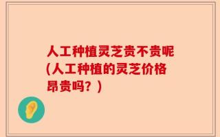 人工种植灵芝贵不贵呢(人工种植的灵芝价格昂贵吗？)