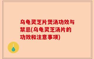 乌龟灵芝片煲汤功效与禁忌(乌龟灵芝汤片的功效和注意事项)