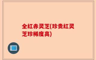 全红赤灵芝(珍贵红灵芝珍稀度高)
