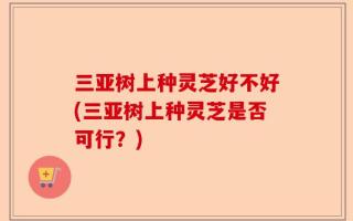 三亚树上种灵芝好不好(三亚树上种灵芝是否可行？)