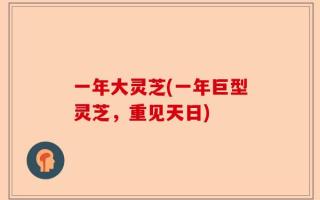 一年大灵芝(一年巨型灵芝，重见天日)