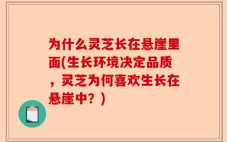 为什么灵芝长在悬崖里面(生长环境决定品质，灵芝为何喜欢生长在悬崖中？)