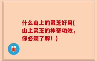 什么山上的灵芝好用(山上灵芝的神奇功效，你必须了解！)