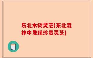 东北木树灵芝(东北森林中发现珍贵灵芝)