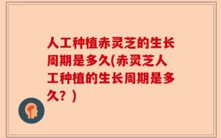 人工种植赤灵芝的生长周期是多久(赤灵芝人工种植的生长周期是多久？)