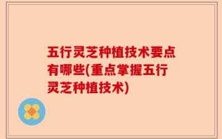 五行灵芝种植技术要点有哪些(重点掌握五行灵芝种植技术)