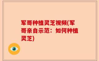 军哥种植灵芝视频(军哥亲自示范：如何种植灵芝)
