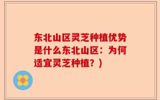 东北山区灵芝种植优势是什么东北山区：为何适宜灵芝种植？)