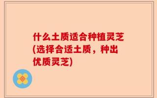 什么土质适合种植灵芝(选择合适土质，种出优质灵芝)