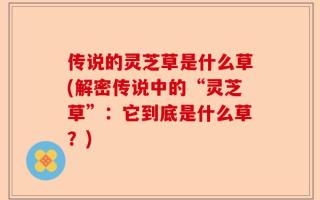 传说的灵芝草是什么草(解密传说中的“灵芝草”：它到底是什么草？)