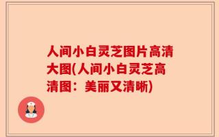 人间小白灵芝图片高清大图(人间小白灵芝高清图：美丽又清晰)