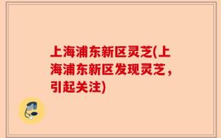 上海浦东新区灵芝(上海浦东新区发现灵芝，引起关注)