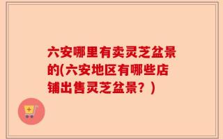 六安哪里有卖灵芝盆景的(六安地区有哪些店铺出售灵芝盆景？)