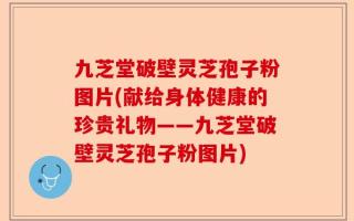 九芝堂破壁灵芝孢子粉图片(献给身体健康的珍贵礼物——九芝堂破壁灵芝孢子粉图片)
