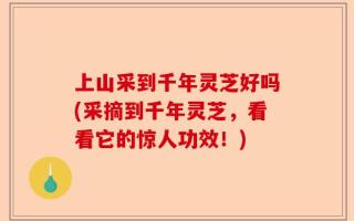 上山采到千年灵芝好吗(采摘到千年灵芝，看看它的惊人功效！)