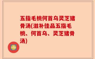 五指毛桃何首乌灵芝猪骨汤(滋补佳品五指毛桃、何首乌、灵芝猪骨汤)