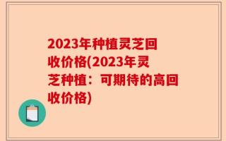 2023年种植灵芝回收价格(2023年灵芝种植：可期待的高回收价格)