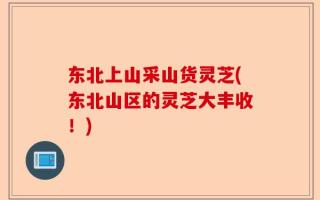 东北上山采山货灵芝(东北山区的灵芝大丰收！)
