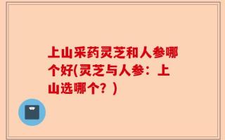 上山采药灵芝和人参哪个好(灵芝与人参：上山选哪个？)